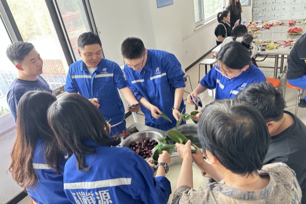 尊龙凯时悦都包粽子1_副本.jpg